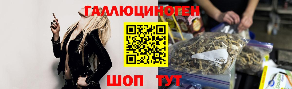 Балашов  Псилоцибиновые грибы Psilocybe  Вход с VPN  Галлюциногенные грибы ЛСД 
